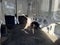 2022 Ford Transit-250 Base
