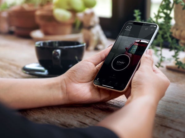 Route 9 Mazda of Poughkeepsie in Poughkeepsie NY