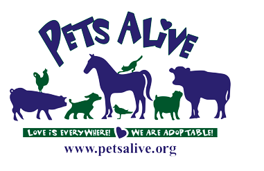 Pets Alive Charity Supported by Route 9 Mazda of Poughkeepsie.